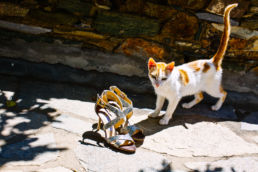 Wedding in Tinos