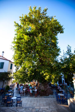 Wedding in Tinos